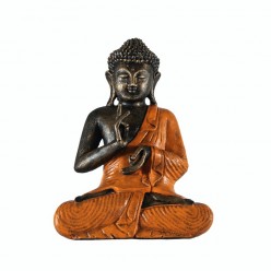 Buda thai mudra vitarkaa color naranja
