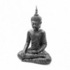 Buda thai con vestimenta color plata